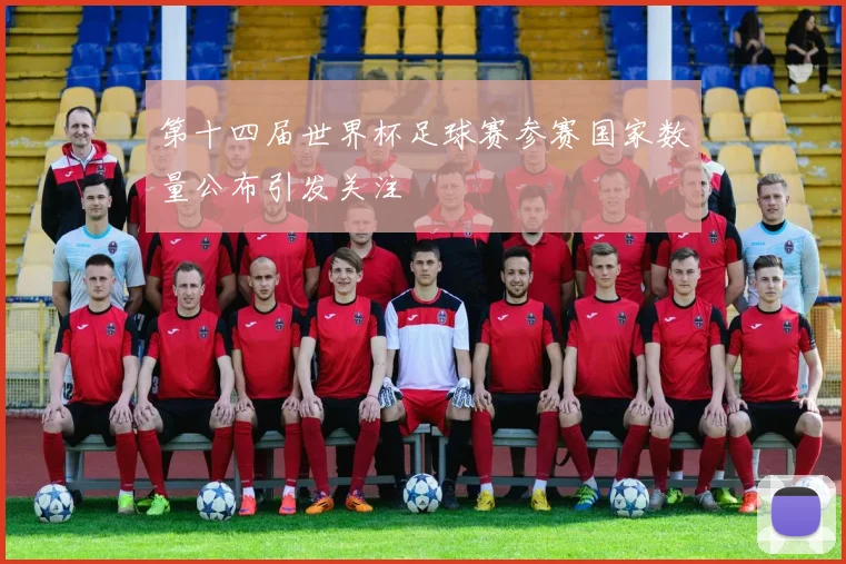 第十四届世界杯足球赛参赛国家数量公布引发关注